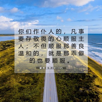 Picture 07 - 彼 得 前 书 2:18 CUVS - 你 们 作 仆 人 的 ， 凡 事 要 存 敬 - Bible Verse Picture
