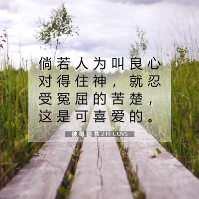 Picture 07 - 彼 得 前 书 2:19 CUVS - 倘 若 人 为 叫 良 心 对 得 住 神 ， - Bible Verse Picture