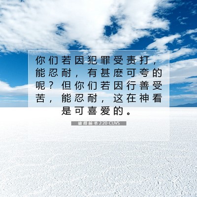 Picture 07 - 彼 得 前 书 2:20 CUVS - 你 们 若 因 犯 罪 受 责 打 ， 能 忍 - Bible Verse Picture
