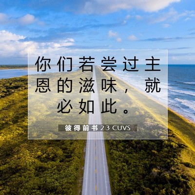 Picture 07 - 彼 得 前 书 2:3 CUVS - 你 们 若 尝 过 主 恩 的 滋 味 ， 就 - Bible Verse Picture