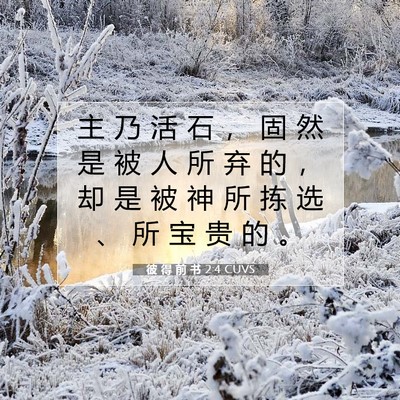 Picture 07 - 彼 得 前 书 2:4 CUVS - 主 乃 活 石 ， 固 然 是 被 人 所 弃 - Bible Verse Picture