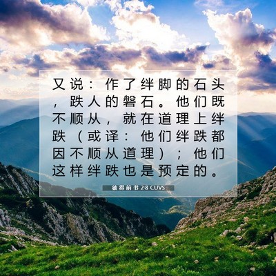Picture 07 - 彼 得 前 书 2:8 CUVS - 又 说 ： 作 了 绊 脚 的 石 头 ， 跌 - Bible Verse Picture