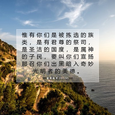 Picture 07 - 彼 得 前 书 2:9 CUVS - 惟 有 你 们 是 被 拣 选 的 族 类 ， - Bible Verse Picture