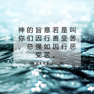 Picture 07 - 彼 得 前 书 3:17 CUVS - 神 的 旨 意 若 是 叫 你 们 因 行 善 - Bible Verse Picture