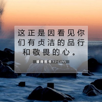 Picture 07 - 彼 得 前 书 3:2 CUVS - 这 正 是 因 看 见 你 们 有 贞 洁 的 - Bible Verse Picture