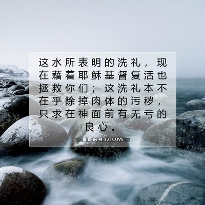 Picture 07 - 彼 得 前 书 3:21 CUVS - 这 水 所 表 明 的 洗 礼 ， 现 在 藉 - Bible Verse Picture