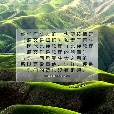 Picture 07 - 彼 得 前 书 3:7 CUVS - 你 们 作 丈 夫 的 ， 也 要 按 情 理 - Bible Verse Picture