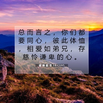 Picture 07 - 彼 得 前 书 3:8 CUVS - 总 而 言 之 ， 你 们 都 要 同 心 ， - Bible Verse Picture