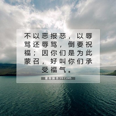 Picture 07 - 彼 得 前 书 3:9 CUVS - 不 以 恶 报 恶 ， 以 辱 骂 还 辱 骂 - Bible Verse Picture