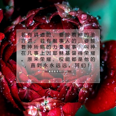Picture 07 - 彼 得 前 书 4:11 CUVS - 若 有 讲 道 的 ， 要 按 着 神 的 圣 - Bible Verse Picture
