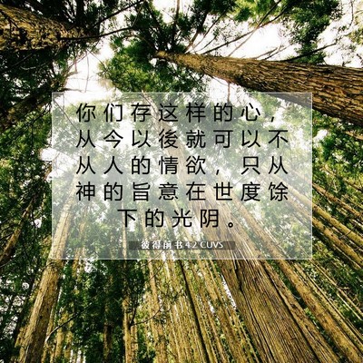 Picture 07 - 彼 得 前 书 4:2 CUVS - 你 们 存 这 样 的 心 ， 从 今 以 後 - Bible Verse Picture