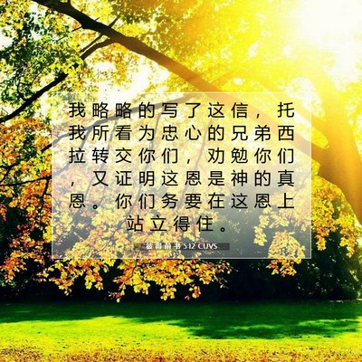 Picture 07 - 彼 得 前 书 5:12 CUVS - 我 略 略 的 写 了 这 信 ， 托 我 所 - Bible Verse Picture