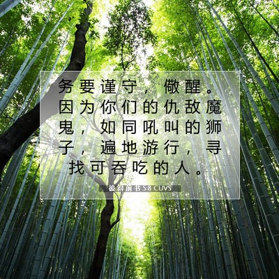 Picture 07 - 彼 得 前 书 5:8 CUVS - 务 要 谨 守 ， 儆 醒 。 因 为 你 们 - Bible Verse Picture