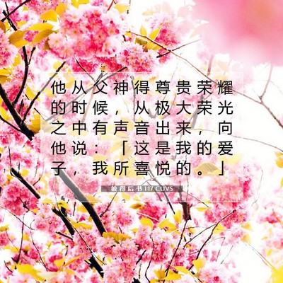 Picture 07 - 彼 得 后 书 1:17 CUVS - 他 从 父 神 得 尊 贵 荣 耀 的 时 候 - Bible Verse Picture
