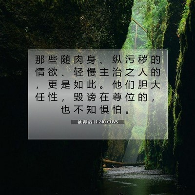 Picture 07 - 彼 得 后 书 2:10 CUVS - 那 些 随 肉 身 、 纵 污 秽 的 情 欲 - Bible Verse Picture