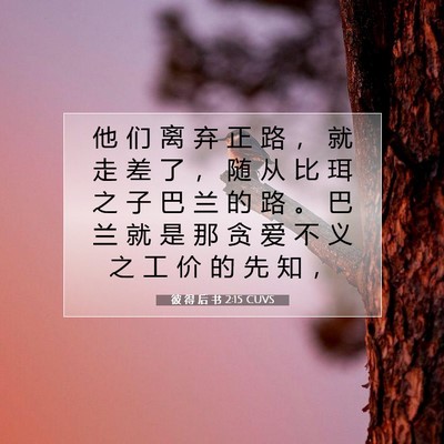 Picture 07 - 彼 得 后 书 2:15 CUVS - 他 们 离 弃 正 路 ， 就 走 差 了 ， - Bible Verse Picture