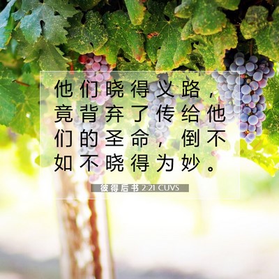Picture 07 - 彼 得 后 书 2:21 CUVS - 他 们 晓 得 义 路 ， 竟 背 弃 了 传 - Bible Verse Picture