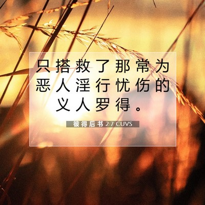 Picture 07 - 彼 得 后 书 2:7 CUVS - 只 搭 救 了 那 常 为 恶 人 淫 行 忧 - Bible Verse Picture