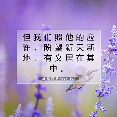 Picture 07 - 彼 得 后 书 3:13 CUVS - 但 我 们 照 他 的 应 许 ， 盼 望 新 - Bible Verse Picture