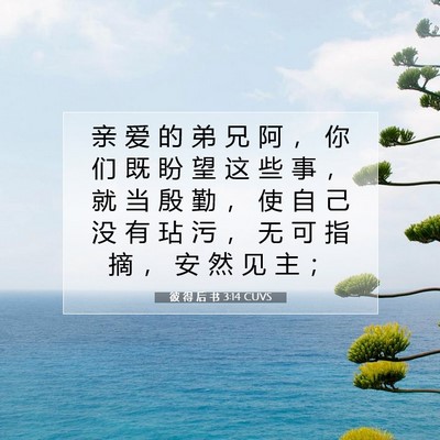 Picture 07 - 彼 得 后 书 3:14 CUVS - 亲 爱 的 弟 兄 阿 ， 你 们 既 盼 望 - Bible Verse Picture