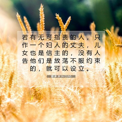 Picture 07 - 提 多 书 1:6 CUVS - 若 有 无 可 指 责 的 人 ， 只 作 一 - Bible Verse Picture