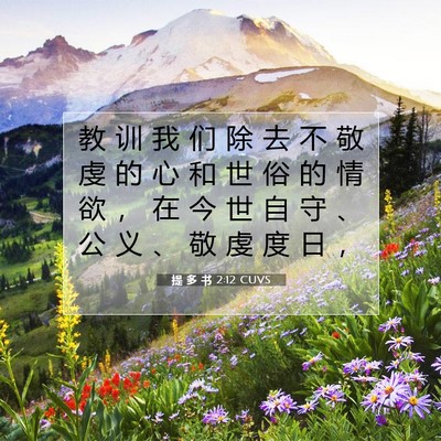 Picture 07 - 提 多 书 2:12 CUVS - 教 训 我 们 除 去 不 敬 虔 的 心 和 - Bible Verse Picture