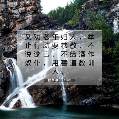 Picture 07 - 提 多 书 2:3 CUVS - 又 劝 老 年 妇 人 ， 举 止 行 动 要 - Bible Verse Picture