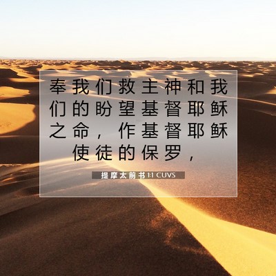 Picture 07 - 提 摩 太 前 书 1:1 CUVS - 奉 我 们 救 主 神 和 我 们 的 盼 望 - Bible Verse Picture