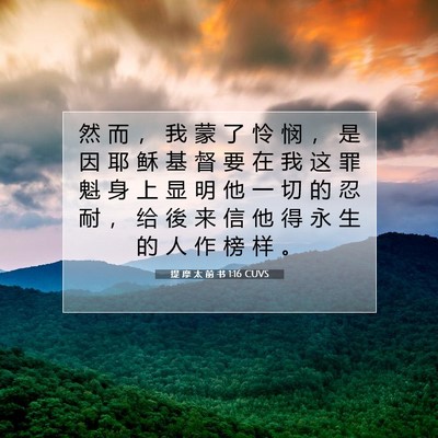 Picture 07 - 提 摩 太 前 书 1:16 CUVS - 然 而 ， 我 蒙 了 怜 悯 ， 是 因 耶 - Bible Verse Picture