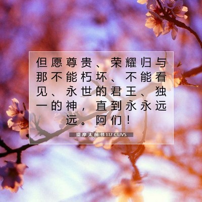 Picture 07 - 提 摩 太 前 书 1:17 CUVS - 但 愿 尊 贵 、 荣 耀 归 与 那 不 能 - Bible Verse Picture