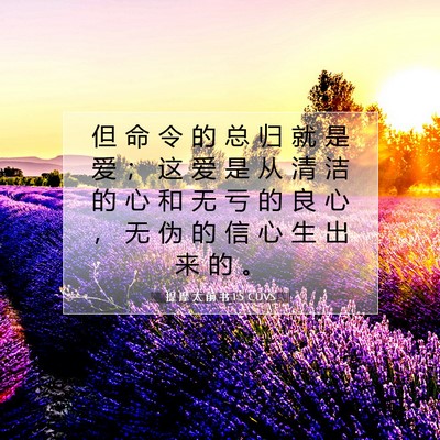 Picture 07 - 提 摩 太 前 书 1:5 CUVS - 但 命 令 的 总 归 就 是 爱 ； 这 爱 - Bible Verse Picture