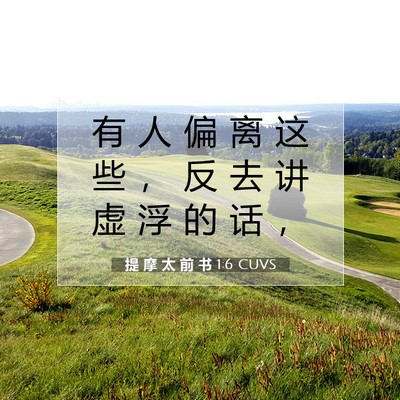 Picture 07 - 提 摩 太 前 书 1:6 CUVS - 有 人 偏 离 这 些 ， 反 去 讲 虚 浮 - Bible Verse Picture