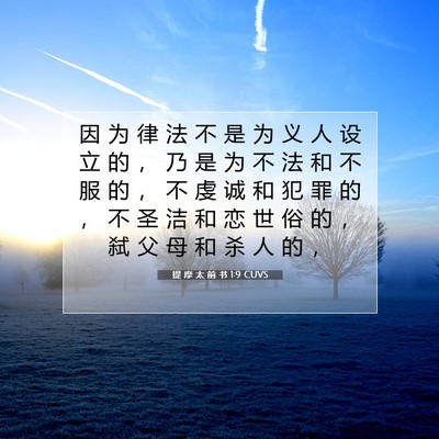 Picture 07 - 提 摩 太 前 书 1:9 CUVS - 因 为 律 法 不 是 为 义 人 设 立 的 - Bible Verse Picture