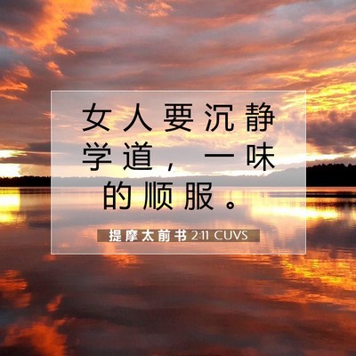 Picture 07 - 提 摩 太 前 书 2:11 CUVS - 女 人 要 沉 静 学 道 ， 一 味 的 顺 - Bible Verse Picture