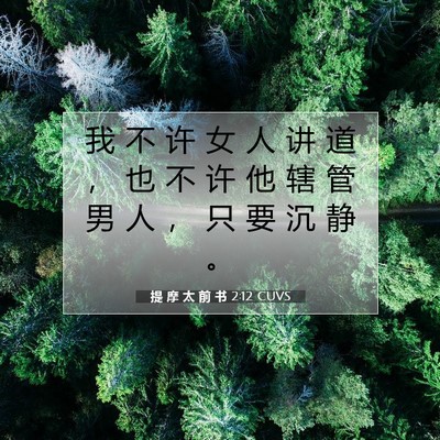 Picture 07 - 提 摩 太 前 书 2:12 CUVS - 我 不 许 女 人 讲 道 ， 也 不 许 他 - Bible Verse Picture