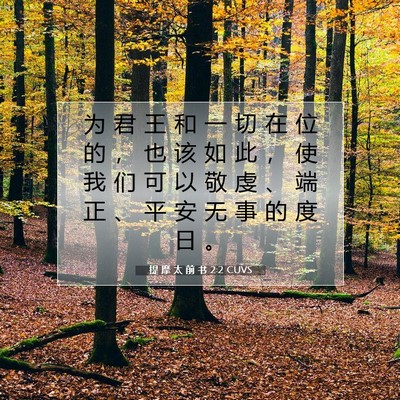 Picture 07 - 提 摩 太 前 书 2:2 CUVS - 为 君 王 和 一 切 在 位 的 ， 也 该 - Bible Verse Picture
