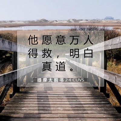 Picture 07 - 提 摩 太 前 书 2:4 CUVS - 他 愿 意 万 人 得 救 ， 明 白 真 道 - Bible Verse Picture