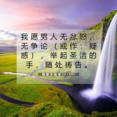 Picture 07 - 提 摩 太 前 书 2:8 CUVS - 我 愿 男 人 无 忿 怒 ， 无 争 论 （ - Bible Verse Picture
