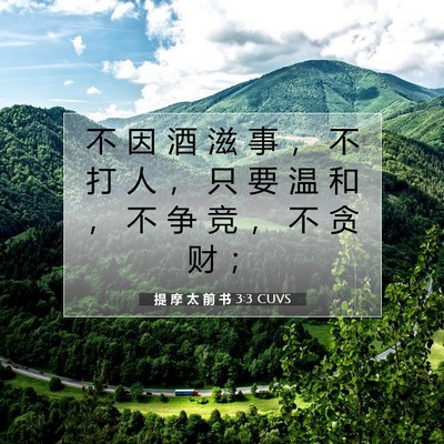 Picture 07 - 提 摩 太 前 书 3:3 CUVS - 不 因 酒 滋 事 ， 不 打 人 ， 只 要 - Bible Verse Picture
