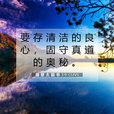 Picture 07 - 提 摩 太 前 书 3:9 CUVS - 要 存 清 洁 的 良 心 ， 固 守 真 道 - Bible Verse Picture