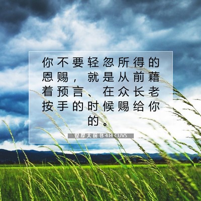 Picture 07 - 提 摩 太 前 书 4:14 CUVS - 你 不 要 轻 忽 所 得 的 恩 赐 ， 就 - Bible Verse Picture