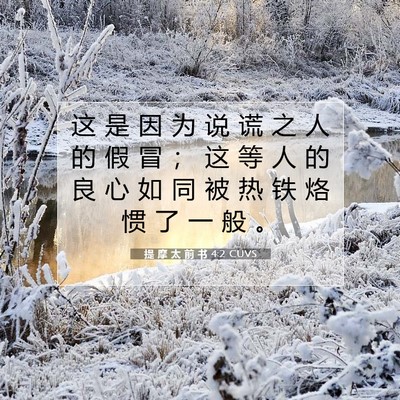 Picture 07 - 提 摩 太 前 书 4:2 CUVS - 这 是 因 为 说 谎 之 人 的 假 冒 ； - Bible Verse Picture