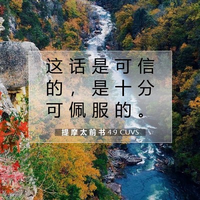 Picture 07 - 提 摩 太 前 书 4:9 CUVS - 这 话 是 可 信 的 ， 是 十 分 可 佩 - Bible Verse Picture