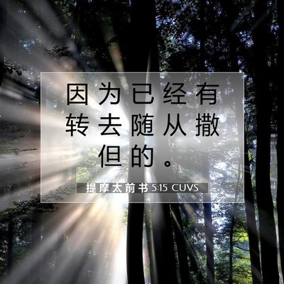 Picture 07 - 提 摩 太 前 书 5:15 CUVS - 因 为 已 经 有 转 去 随 从 撒 但 的 - Bible Verse Picture
