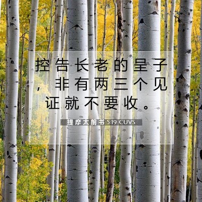Picture 07 - 提 摩 太 前 书 5:19 CUVS - 控 告 长 老 的 呈 子 ， 非 有 两 三 - Bible Verse Picture