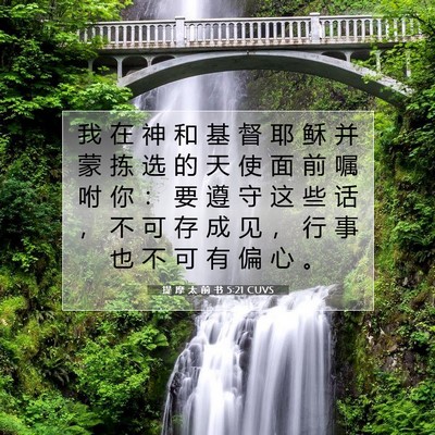 Picture 07 - 提 摩 太 前 书 5:21 CUVS - 我 在 神 和 基 督 耶 稣 并 蒙 拣 选 - Bible Verse Picture