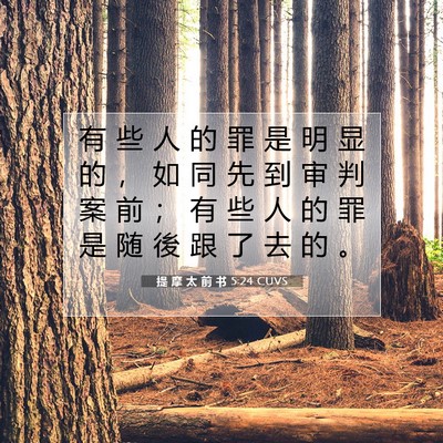 Picture 07 - 提 摩 太 前 书 5:24 CUVS - 有 些 人 的 罪 是 明 显 的 ， 如 同 - Bible Verse Picture