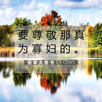 Picture 07 - 提 摩 太 前 书 5:3 CUVS - 要 尊 敬 那 真 为 寡 妇 的 - Bible Verse Picture