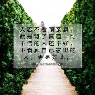 Picture 07 - 提 摩 太 前 书 5:8 CUVS - 人 若 不 看 顾 亲 属 ， 就 是 背 了 - Bible Verse Picture
