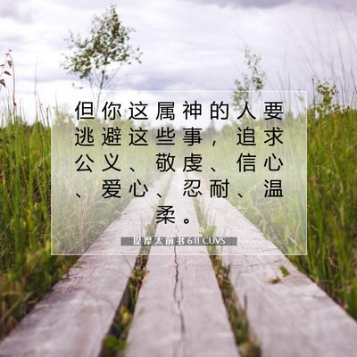 Picture 07 - 提 摩 太 前 书 6:11 CUVS - 但 你 这 属 神 的 人 要 逃 避 这 些 - Bible Verse Picture